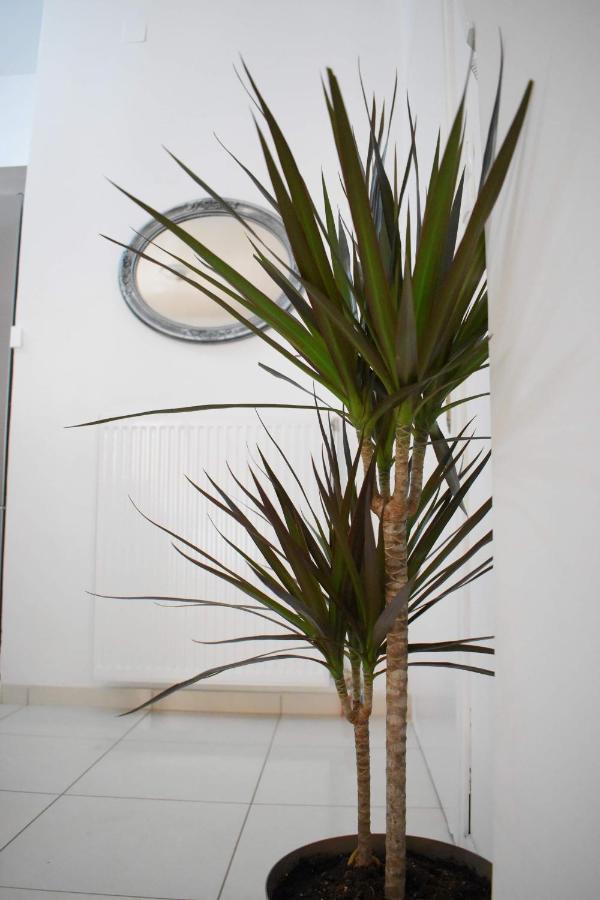 4Seasons Apartment Thebes Exteriör bild